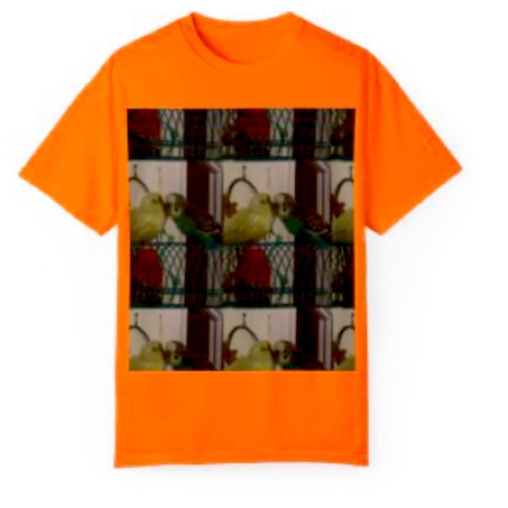 I am selling my minty merch if you like buy at minty00987.printify.me/products